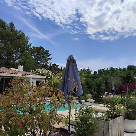 B&B La Terre Brulee Aigues-Mortes Exterior foto