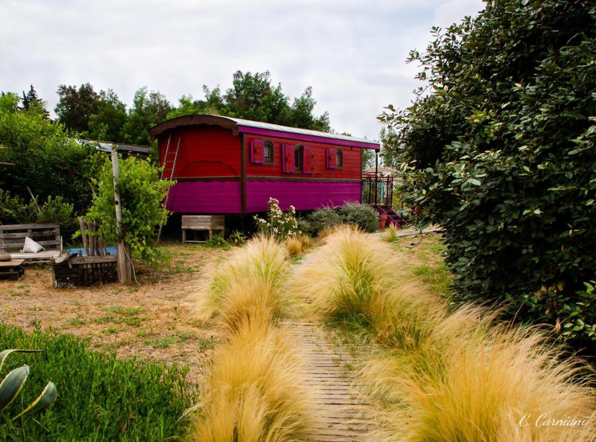 B&B La Terre Brulee Aigues-Mortes Exterior foto